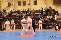 II. HALAS KUPA