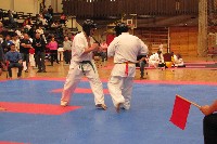II. HALAS KUPA