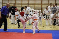 III. HINOMOTO-IBK KUPA