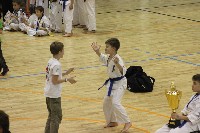 III. HINOMOTO-IBK KUPA