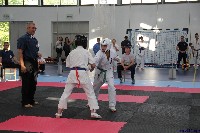 IV. Komló Kupa