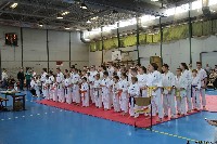 20. Nyúl Kupa