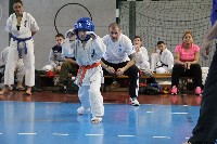 20. Nyúl Kupa