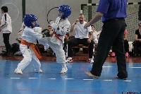 20. Nyúl Kupa