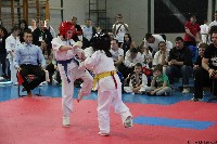 20. Nyúl Kupa