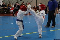 20. Nyúl Kupa
