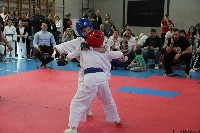 20. Nyúl Kupa