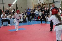 20. Nyúl Kupa