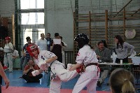 20. Nyúl Kupa