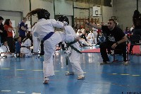 20. Nyúl Kupa