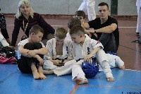 20. Nyúl Kupa
