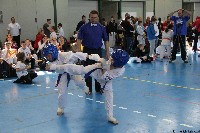 20. Nyúl Kupa