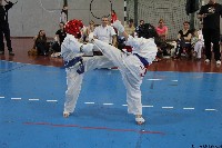 20. Nyúl Kupa