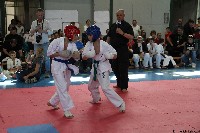 20. Nyúl Kupa