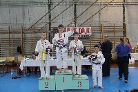 20. Nyúl Kupa