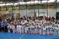20. Nyúl Kupa