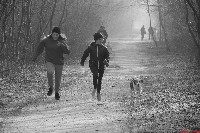 Seishin SE VI. szilveszteri terepfutás