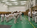 „Sensei 50”
