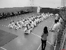 „Sensei 50”