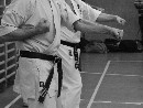 „Sensei 50”