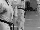 „Sensei 50”