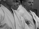 „Sensei 50”