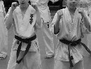„Sensei 50”