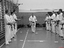 „Sensei 50”