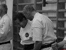 „Sensei 50”