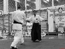„Sensei 50”