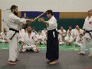„Sensei 50”
