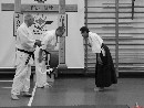 „Sensei 50”