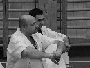 „Sensei 50”