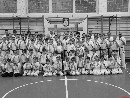 „Sensei 50”