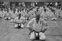 V. Karate Maraton