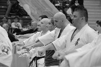 V. Karate Maraton
