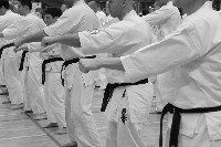 V. Karate Maraton