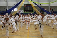 V. Karate Maraton