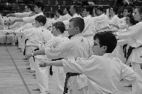 V. Karate Maraton