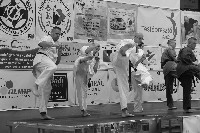 V. Karate Maraton