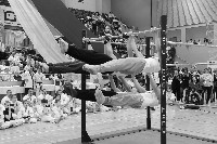 V. Karate Maraton