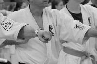V. Karate Maraton