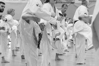 V. Karate Maraton