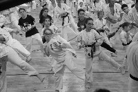 V. Karate Maraton