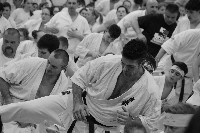 V. Karate Maraton