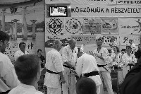 V. Karate Maraton