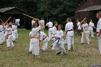 Seishin SE V. Nyári Edzőtábor