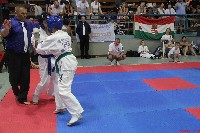 II. Össz Kyokushin Karate Világbajnokság