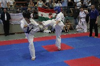 II. Össz Kyokushin Karate Világbajnokság