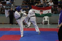II. Össz Kyokushin Karate Világbajnokság
